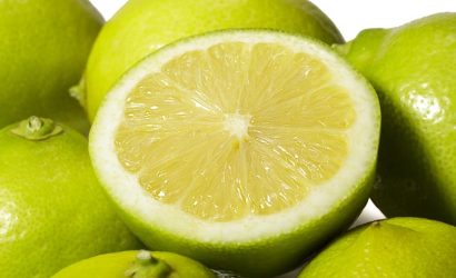Frutos de Limonero Benjamin Andes